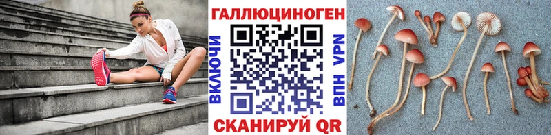 как найти   Арсеньев  Галлюциногенные грибы Psilocybe 