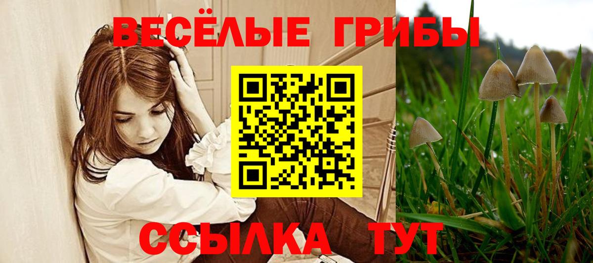 Галлюциногенные грибы мицелий Арсеньев