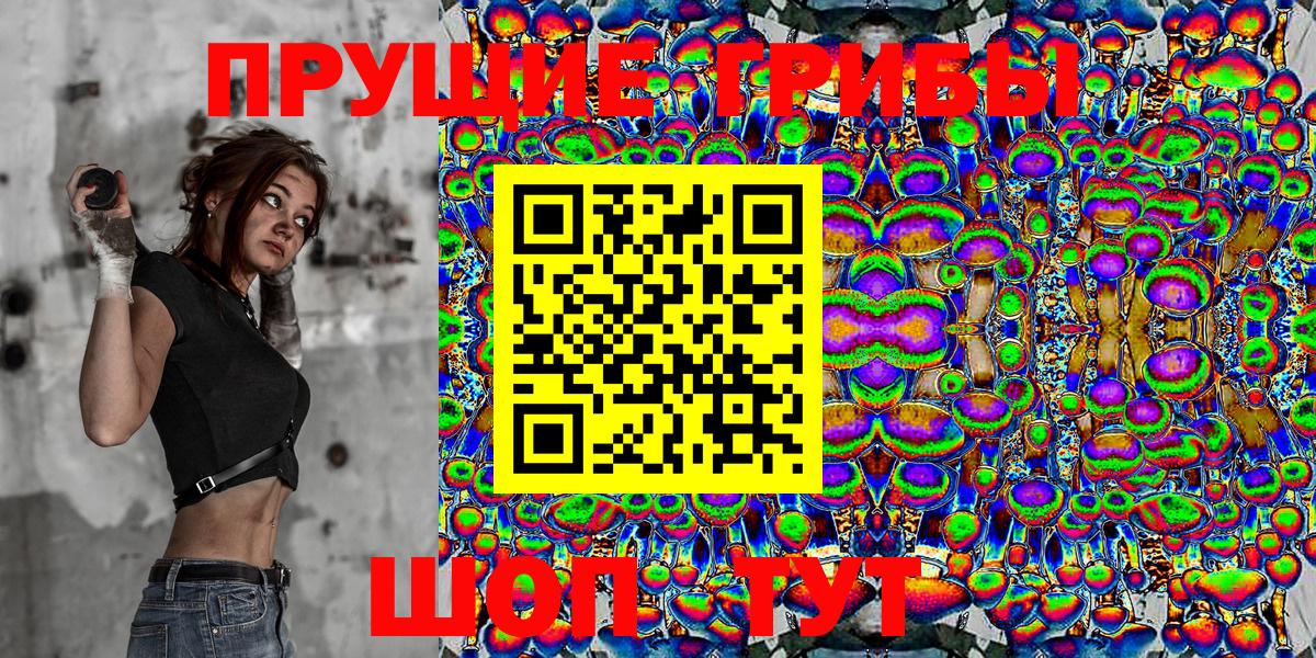 Арсеньев  Галлюциногенные грибы Psilocybine cubensis  Вход с VPN 